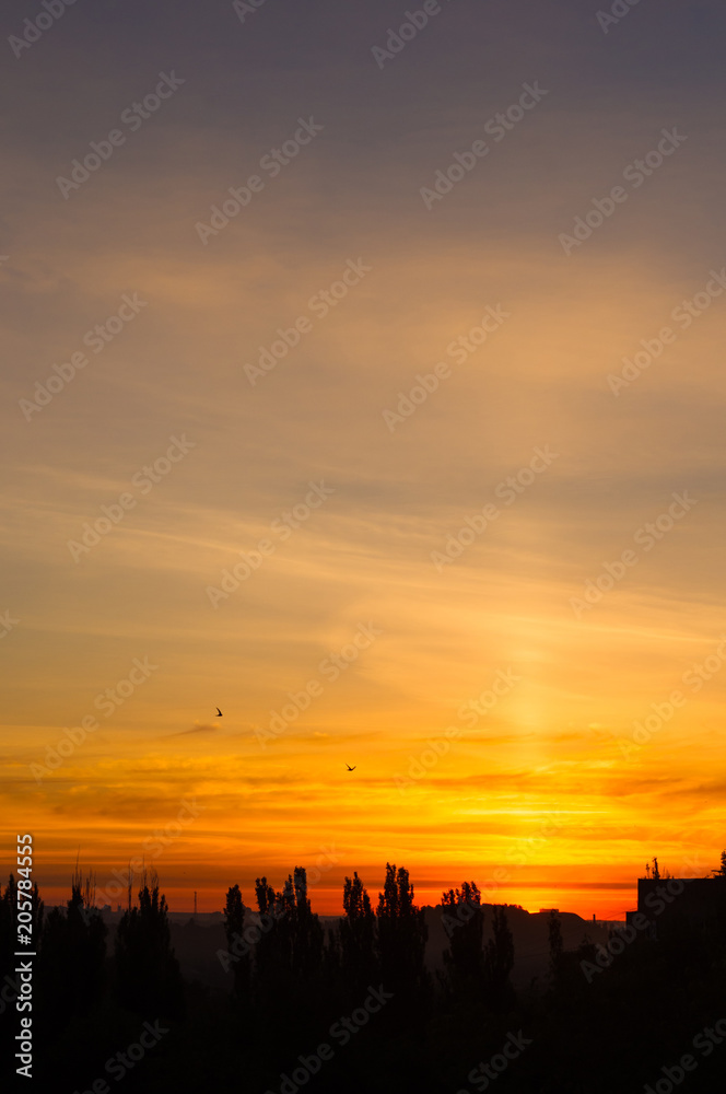 Landscape with dramatic light - beautiful golden sunset with saturated sky and clouds.