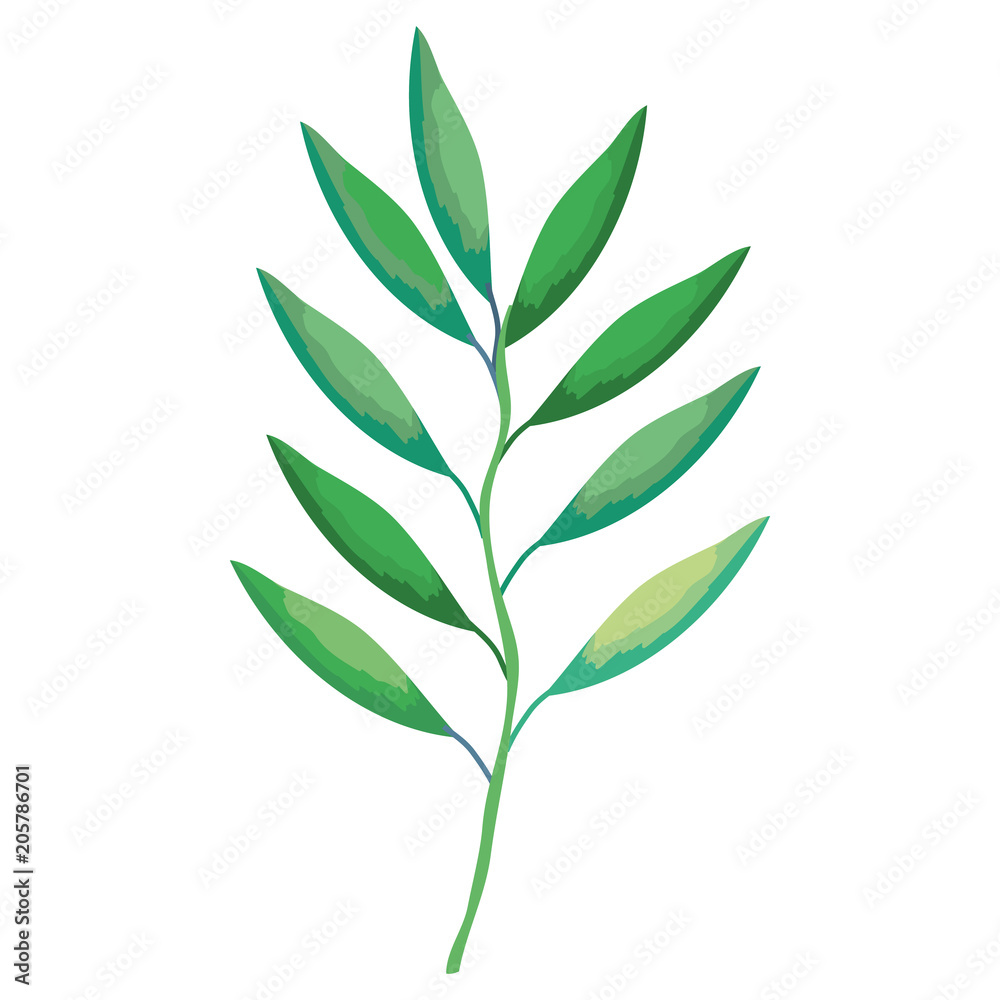 branch with leafs decorative icon vector illustration design branch with leafs decorative icon vector illustration design