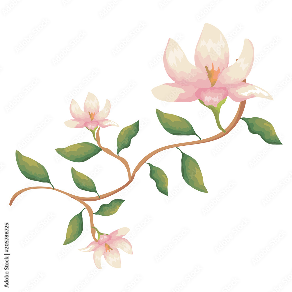 Obraz premium flower and leafs decorative icon vector illustration design