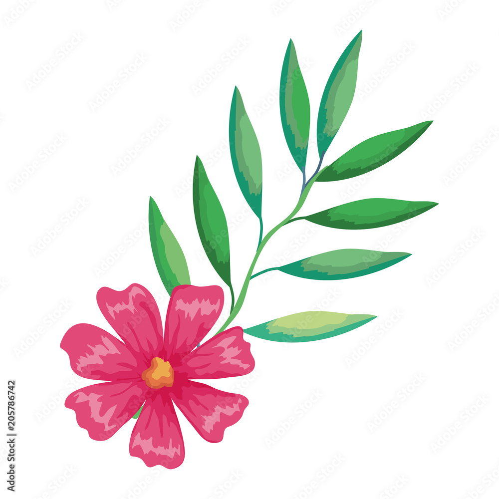 flower and leafs decorative icon vector illustration design flower and leafs decorative icon vector illustration design