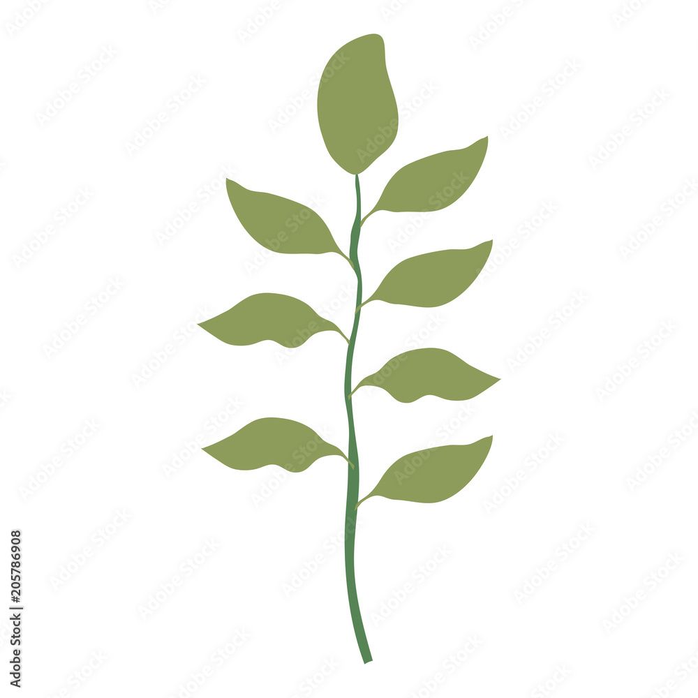 branch with leafs decorative design