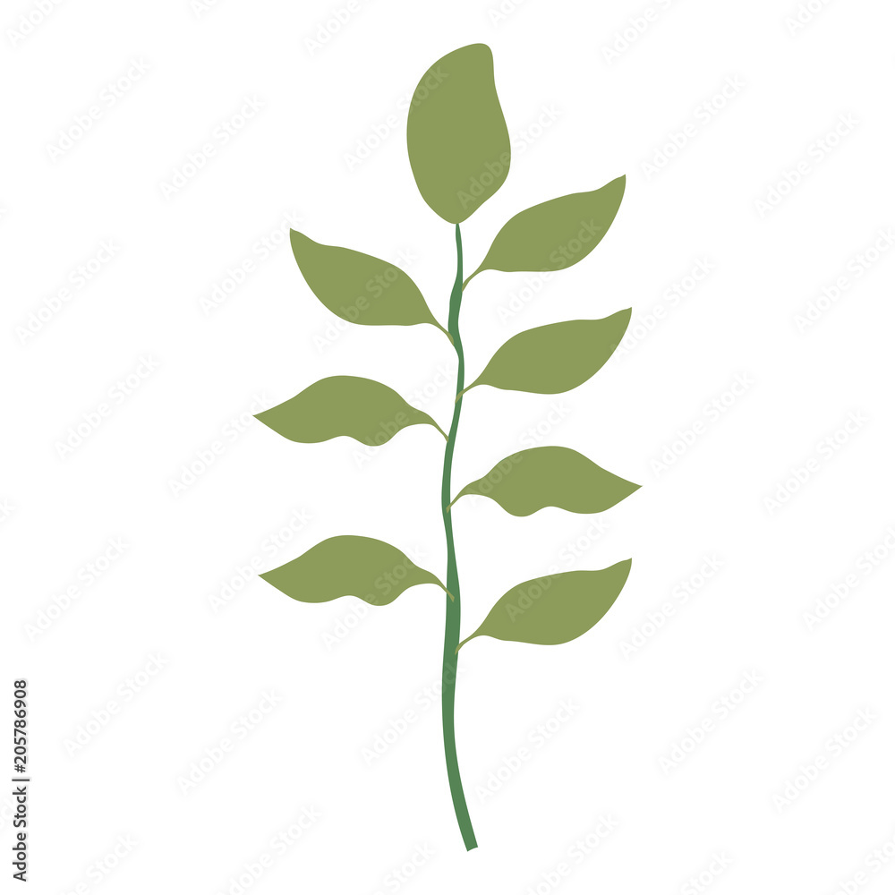 Fototapeta premium branch with leafs decorative design