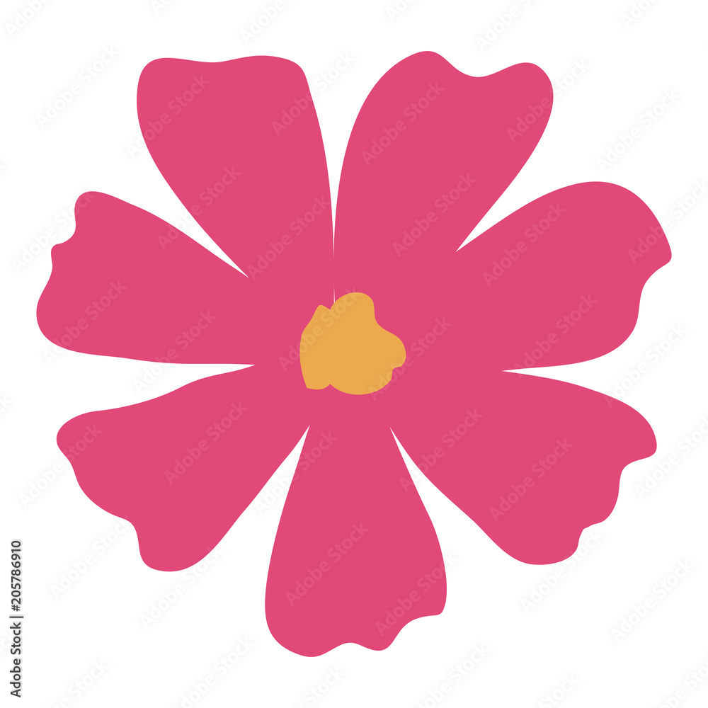 beautiful flower decorative icon vector illustration design beautiful flower decorative icon vector illustration design