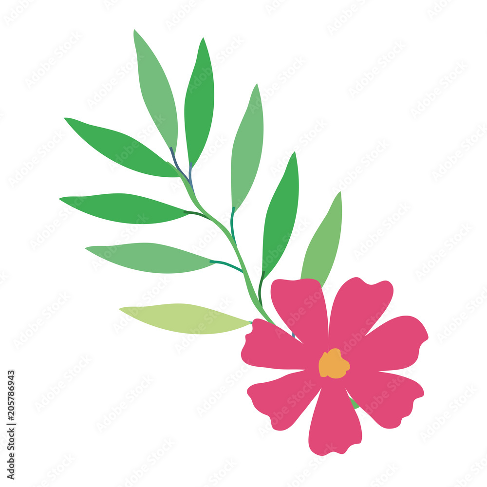 flower and leafs decorative icon vector illustration design flower and leafs decorative icon vector illustration design