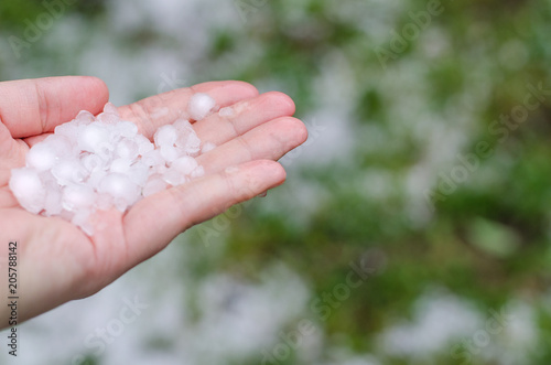 Spring hail in the girl's hand
