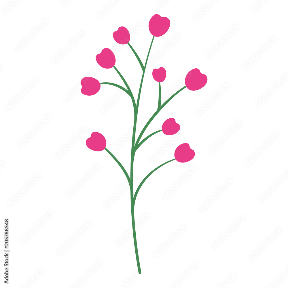 branch with seeds natural icon vector illustration design branch with seeds natural icon vector illustration design