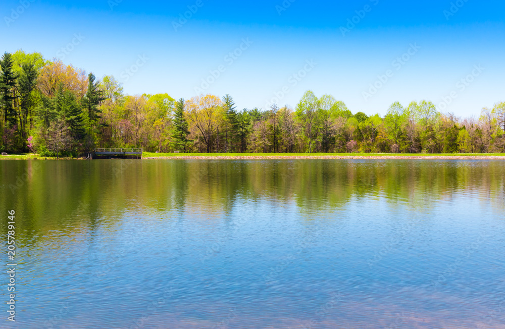 Obraz premium Beautiful lake with forest reflection on sunny spring day.