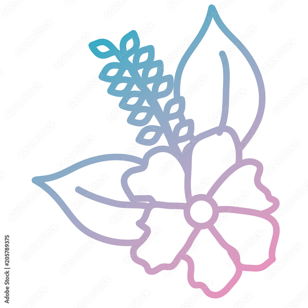 flower and leafs decorative icon vector illustration design flower and leafs decorative icon vector illustration design
