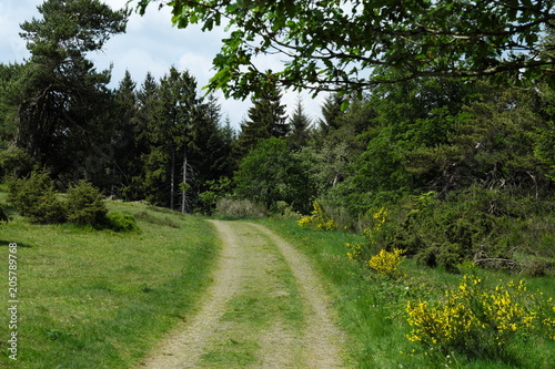 Path - Stockphoto