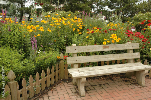Bench and Wildflowers