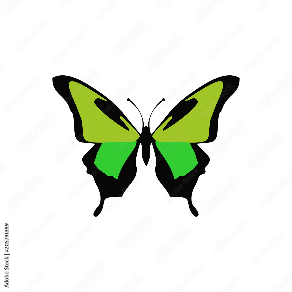 Butterflies vector icon Butterflies vector icon