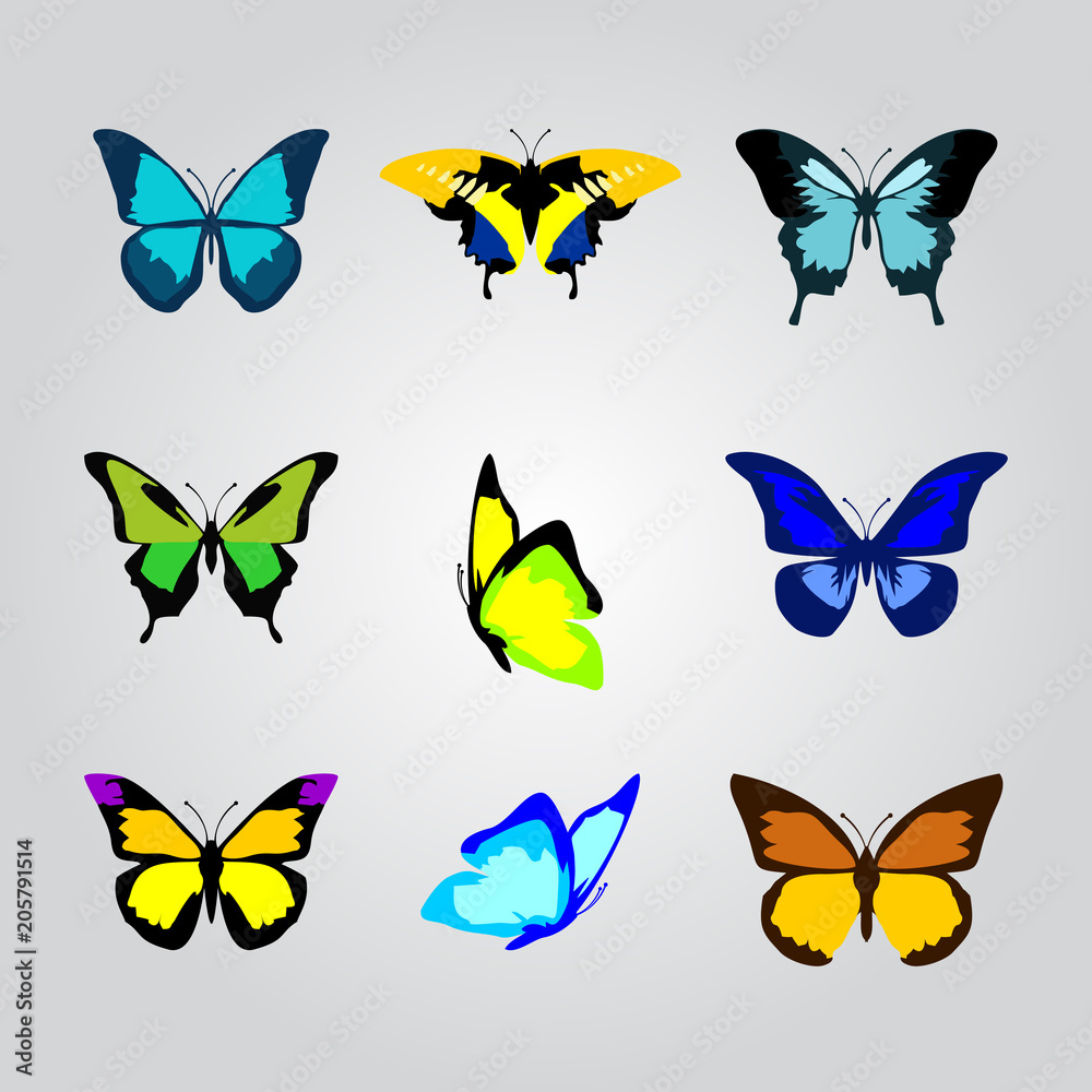Butterflies vector icon Butterflies vector icon
