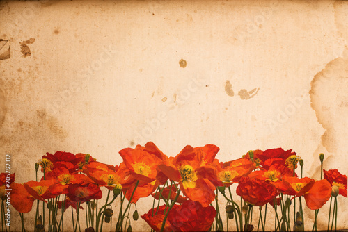 Vintage old paper background