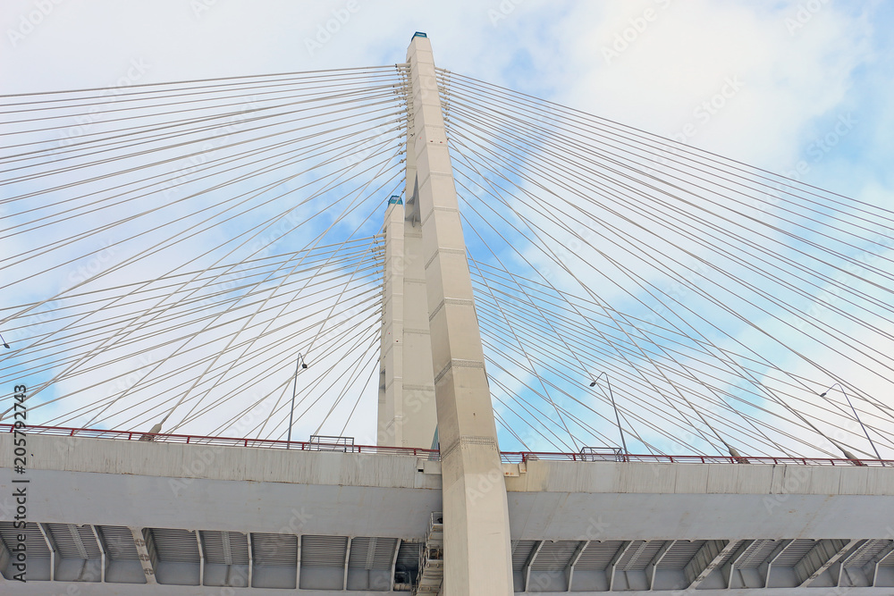 Obraz premium view of cable-stayed bridge from below