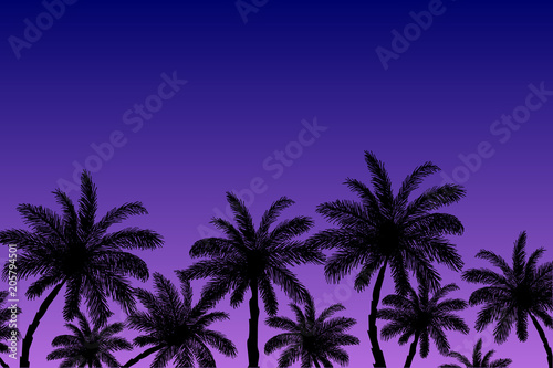 Vector image of silhouettes of palm trees on a background of blue-purple sky at sunset. Summer beach illustration.