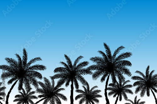 Vector image of silhouettes of palm trees against a blue sky at sunrise. Summer beach illustration.