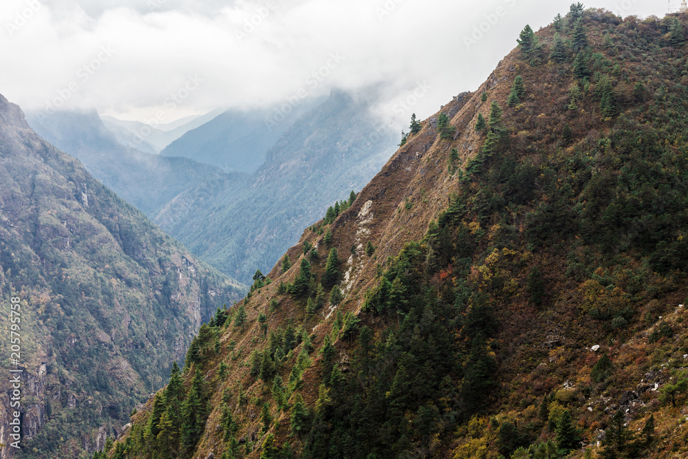 Fototapeta premium Nature of the Himalayas