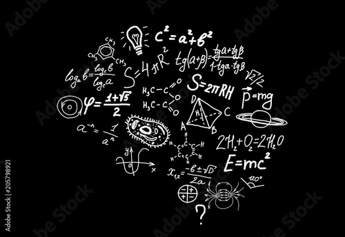 Shape of human brain of scienctific symbols, formulas and equations on