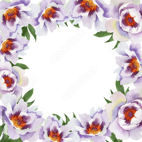 Gently pink peonies. Floral botanical flower.Frame border ornament square. Aquarelle wildflower for background  texture  wrapper pattern  frame or border.