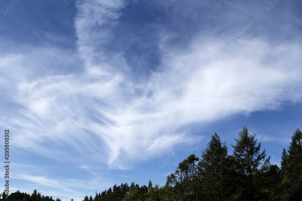 White Wispy Clouds In Blue Sky Above Trees White Wispy Clouds In Blue Sky Above Trees