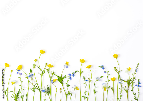 Fototapeta Naklejka Na Ścianę i Meble -  Meadow flowers with field buttercups and pansies isolated on white background. Top view with copy space. Flat lay.
