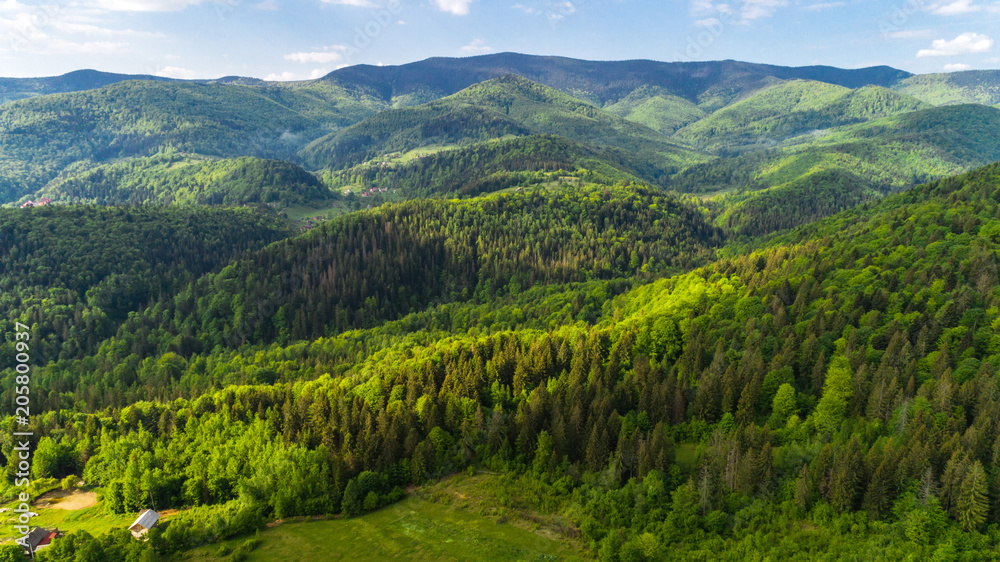 Obraz premium Aerial view of beautiful Carpathian mountains in summer.