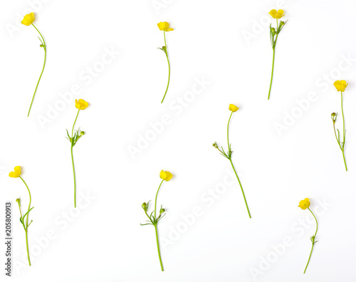 Floral pattern made of yellow buttercups flowers isolated on white background. Flat lay. Top view.