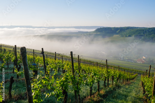 Remich im Morgennebel von der Morgensonne beleuchtet