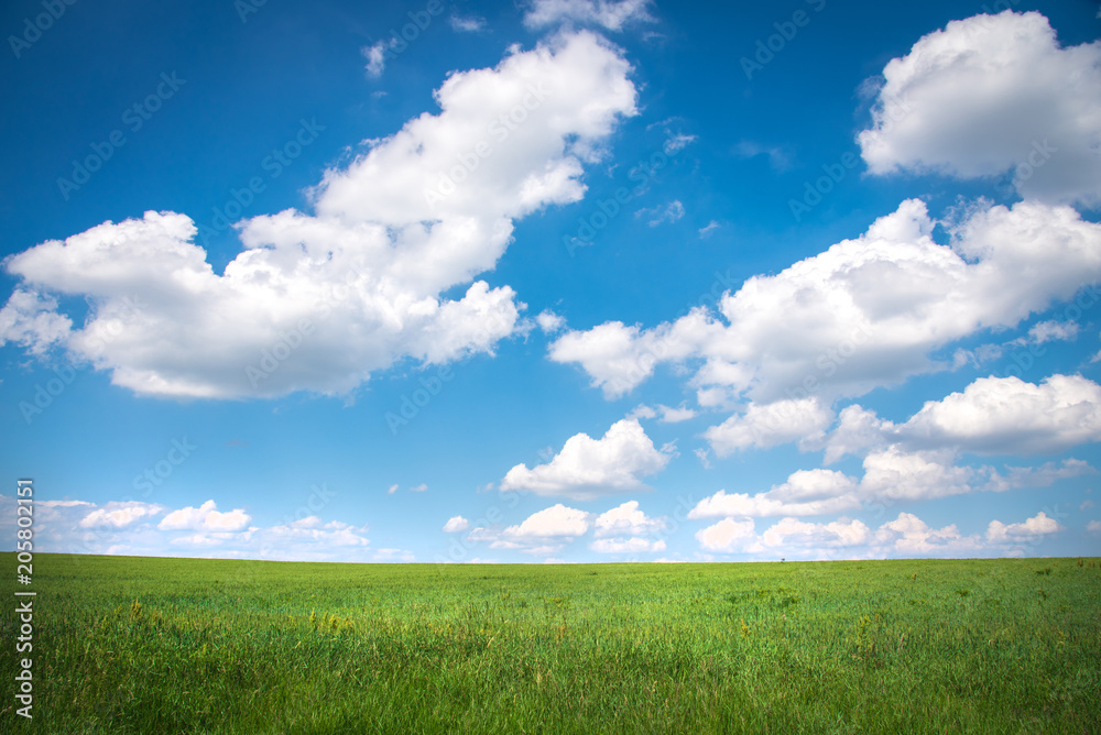 Green grass and blue sky background. Horizontal photo. Green grass and blue sky background. Horizontal photo.