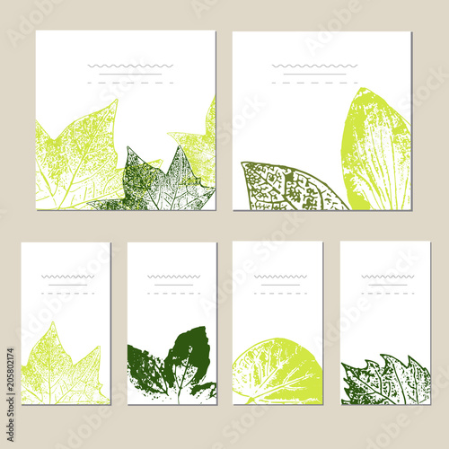 Collection of vector template label, visit cards, square greeting cards and banners with home plants, wild flowers and herbs. photo