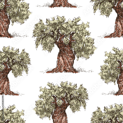 Pattern of the drawn olive trees