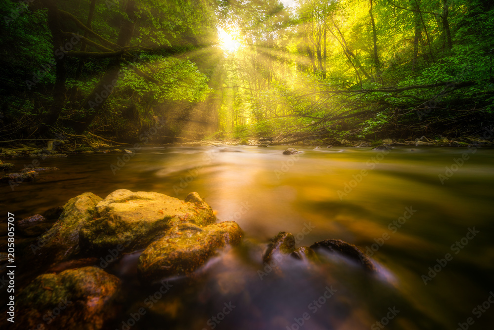 Sonnenschein an einem Fluß im Wald