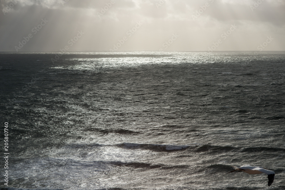 Fototapeta premium Helgoland, Meer, Horizont