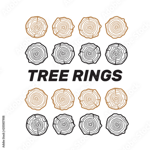 Tree rings background. Saw cut tree trunk texture. Wood texture vector