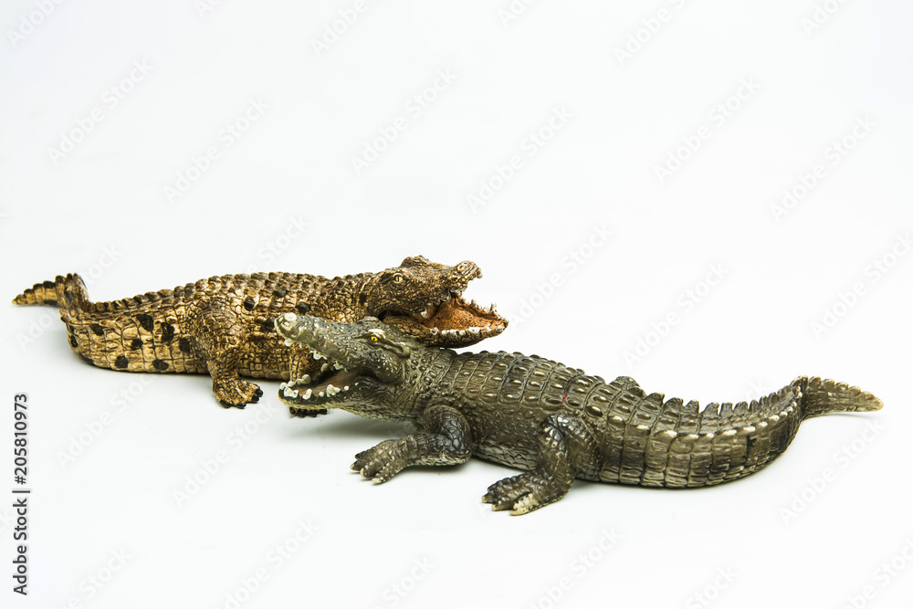 Naklejka premium crocodile on white background