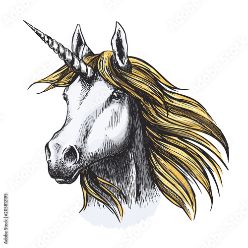 Unicorn horse fairy tale animal vector sketch