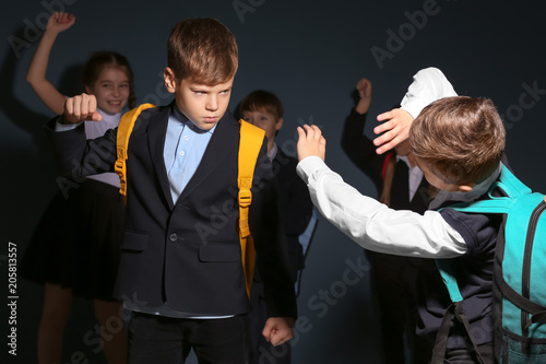 Little boy bullying his cla...