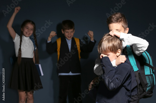 Little boy bullying his cla...