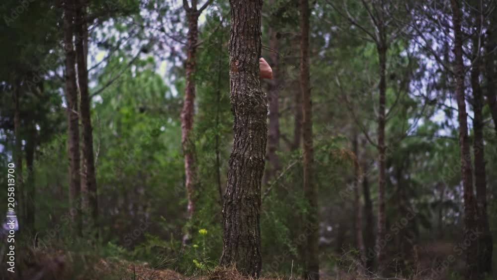 Funny Young Man magically pulls himself out of a tree in the forest