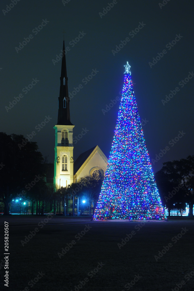 Obraz premium Christmas in Charleston