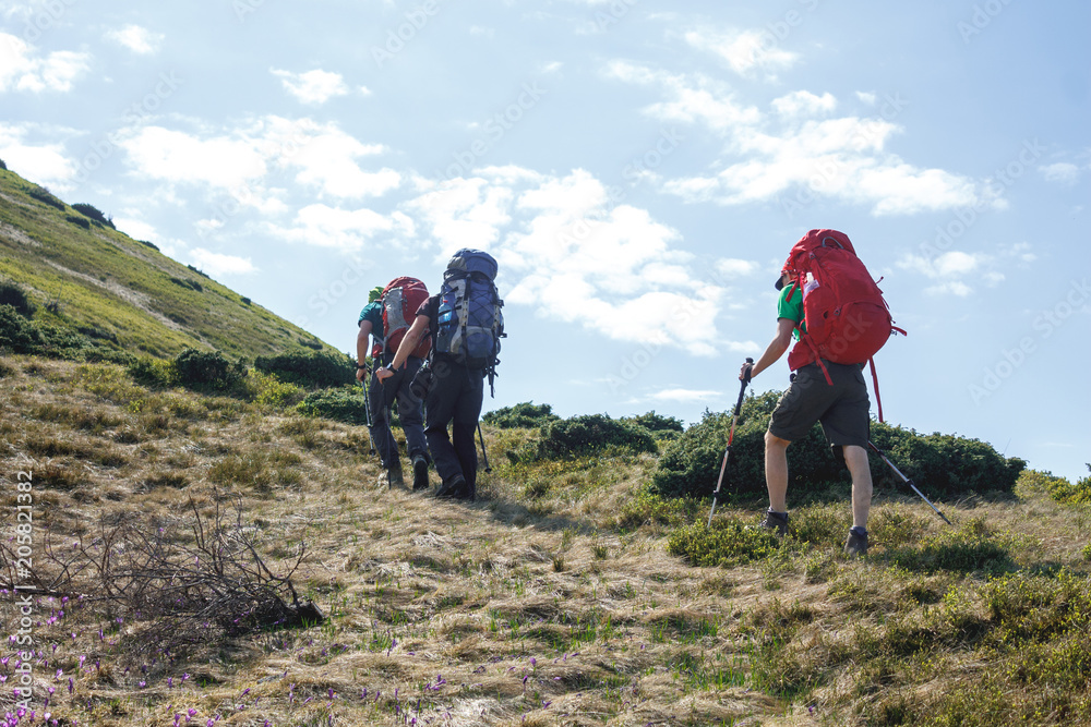 back view of three hikers with backpacks and trekking poles walking in romanian highland