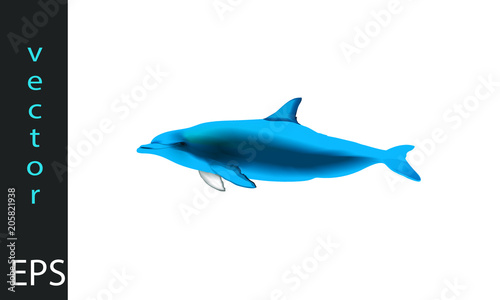 delfino illustrazione vettoriale realistica
