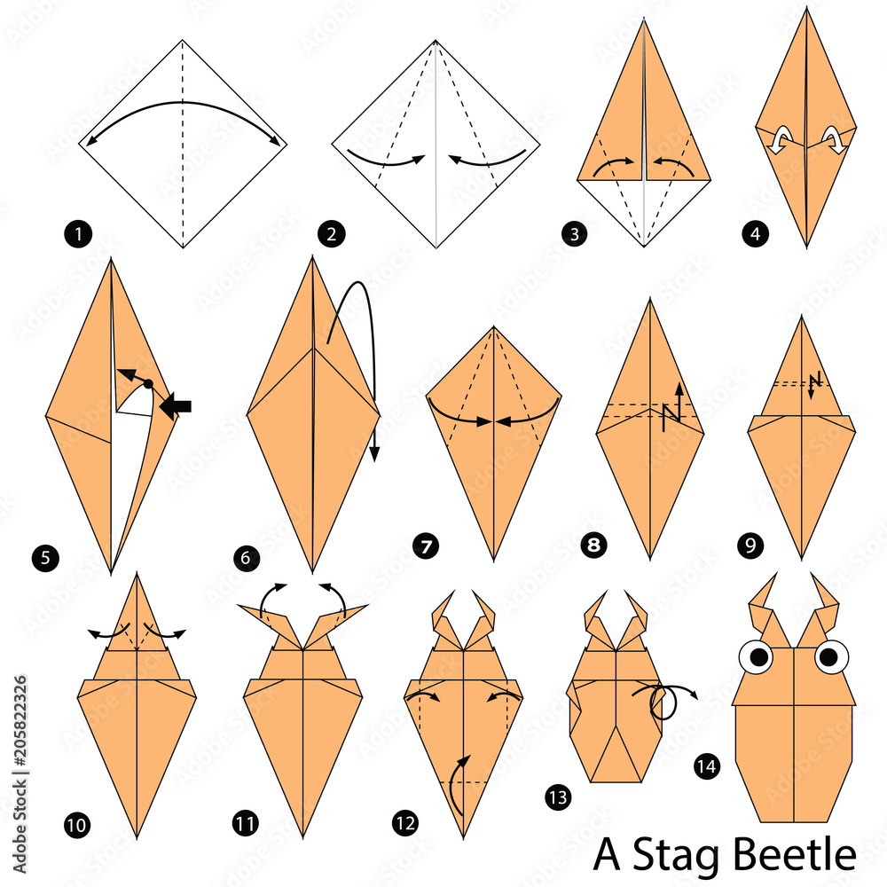 step by step instructions how to make origami A Stag Beetle Stock ...
