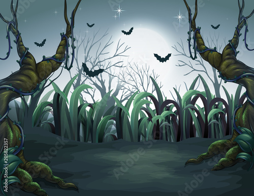 Scary Dark Night in Forest