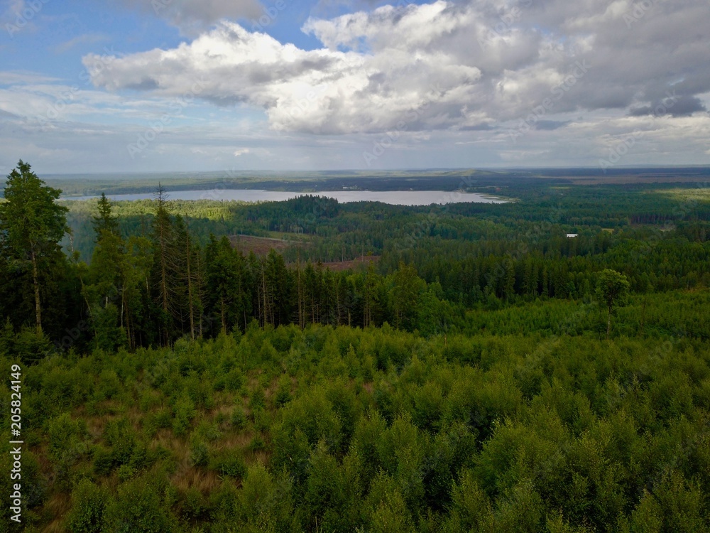 Aerial view over forest with Store Mosse National Park in far background