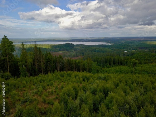 Aerial view over forest with Store Mosse National Park in far background © Guillaume