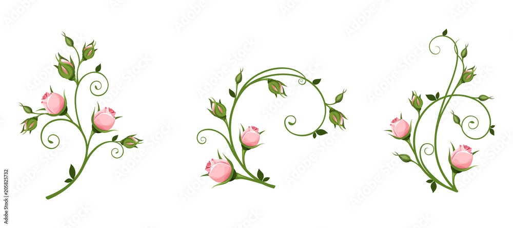 Set of vector decorative elements with pink rosebuds isolated on a white background. - obrazy, fototapety, plakaty 