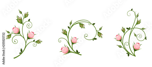 Set of vector decorative elements with pink rosebuds isolated on a white background.