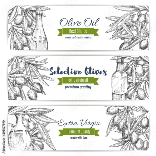 Olive oil vector banners of sketch olives