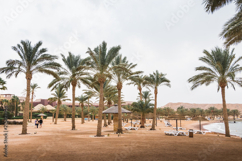Bech with palms and umbrellas in a Windy and cloudy day © keleny
